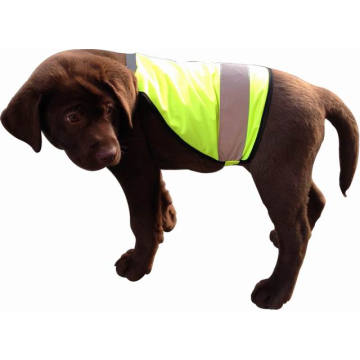 (PSV-6006) Chaleco de seguridad para mascotas